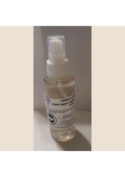 Tıbbı Nane Hıdrolatı 100 ml Sprey