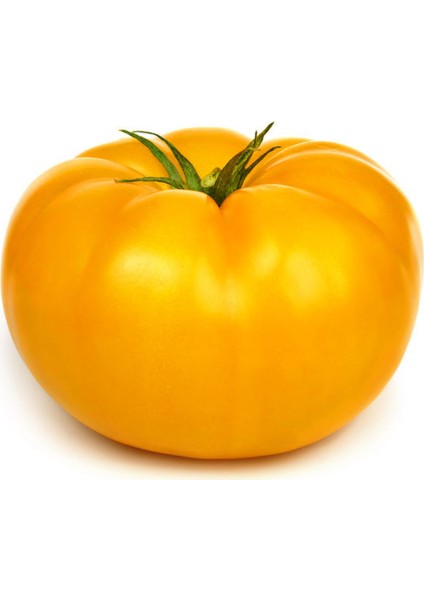Nadir Dev Italyan Sarı Pileli Domates Tohumu 5 Tohum