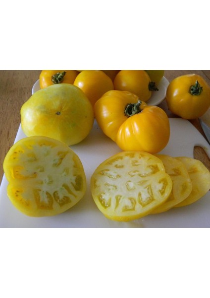 Nadir Dev Italyan Sarı Pileli Domates Tohumu 5 Tohum fiyatları