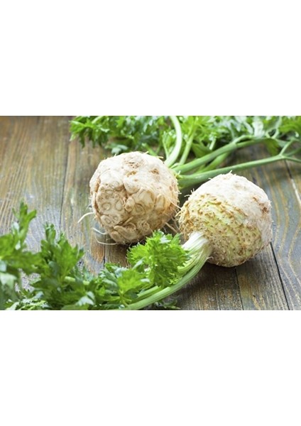 Murat Tohum Eko Paket Kereviz Tohumu 200 Adet Tohum fiyatları