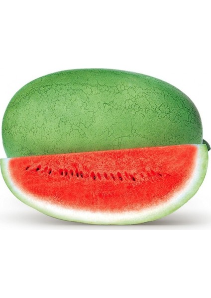 Murat Tohum Eko Paket Çarliston Gray Karpuz Tohumu 35 Adet Tohum