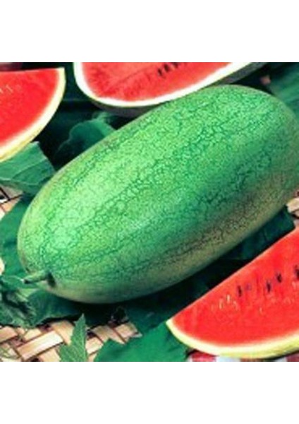 Murat Tohum Eko Paket Çarliston Gray Karpuz Tohumu 35 Adet Tohum fiyatları