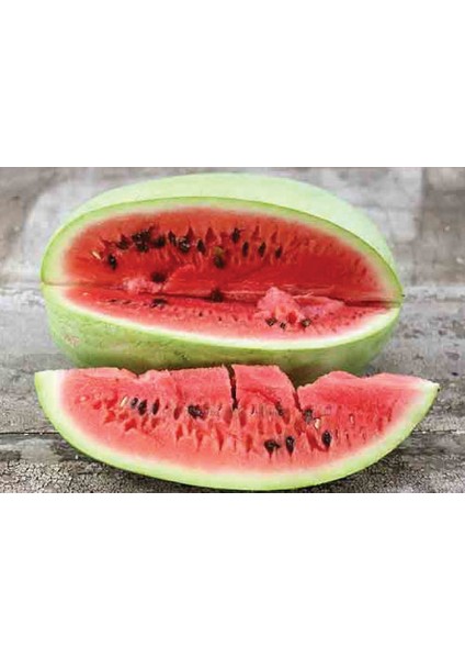 Murat Tohum Eko Paket Çarliston Gray Karpuz Tohumu 35 Adet Tohum fırsatları