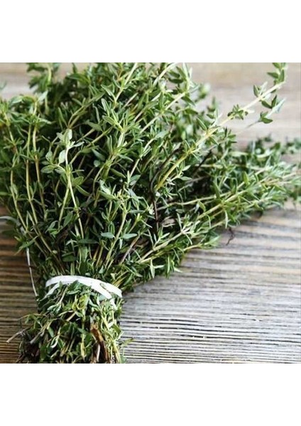 Murat Tohum Eko Paket Yerli Aromatik Dağ Kekiği Tohumu Kekik Tohumu 120 Adet Tohum fiyatları