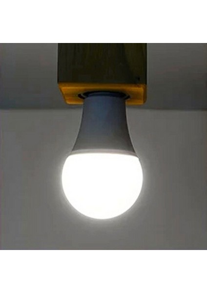 2 Renk Ampul 10W + 1W LED Ampul - Beyaz Renk 10W + 1W Gece Lambası