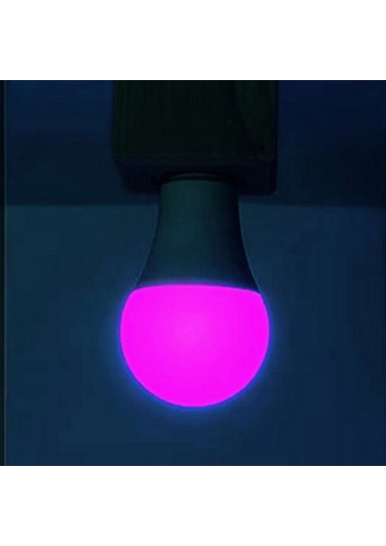 2 Renk Ampul 10W + 1W LED Ampul - Beyaz Renk 10W + 1W Gece Lambası