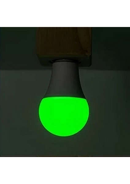 2 Renk Ampul 10W + 1W LED Ampul - Beyaz Renk 10W + 1W Gece Lambası modelleri