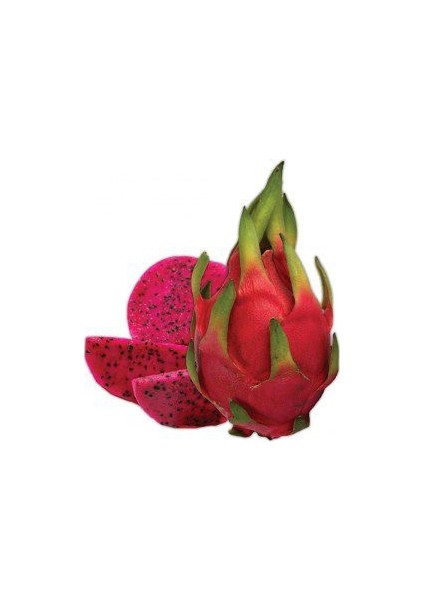 15 Adet Pitaya Ağacı Tohumu Ithal Kırmızı Pitaya Tohum Ejder Meyvesi Tohumu