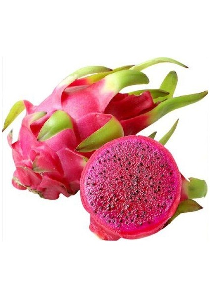 15 Adet Pitaya Ağacı Tohumu Ithal Kırmızı Pitaya Tohum Ejder Meyvesi Tohumu fiyatları