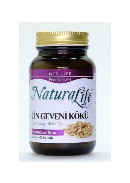 Astragalus 250MG 60 Kapsül