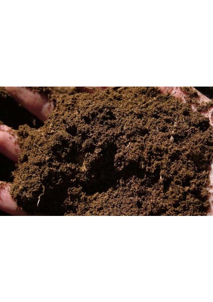 Murat Tohum Orman Toprağı Orman Humusu 2,5 Litre Orman Toprağı