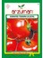 H-2274 Domates Tohumu 5 gr 1