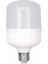 Jumbo LED Ampül 1