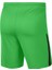 Gardien III League Knit II Short BV6852-329 Erkek Şort 3