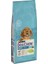 Purına Puppy Dog Chow Kuzu Etli Yavru Köpek Maması 14 kg 1