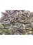 Benimaktar Açlık Otu 500 gr 2
