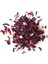 Benimaktar Mekke Gülü Hibisküs Nar Çiçeği 1 kg 2