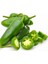 Jalapeno Biber 100 Adet Tohum+ Saksı + Torf 1