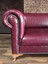 3A Crocodile Chesterfield 5