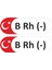 Kan Grubu Sticker 2 Adet - B Rh (-) 1