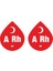 Kan Grubu Sticker 2 Adet - A Rh (-) 1