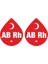 Kan Grubu Sticker 2 Adet - Ab Rh (-) 1