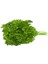 Kıvırcık Maydanoz (Frenk Maydanoz) 10 gr 2