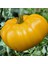 Nadir Dev Italyan Sarı Pileli Domates Tohumu 5 Tohum 3