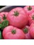 Murat Tohum Eko Paket Nadir Geleneksel Iri Pembe Domates Tohumu 65 Adet Tohum 3