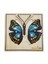 Montessori Kelebek Puzzle 2