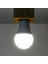 2 Renk Ampul 10W + 1W LED Ampul - Beyaz Renk 10W + 1W Gece Lambası 2
