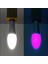 2 Renk Ampul 10W + 1W LED Ampul - Beyaz Renk 10W + 1W Gece Lambası 1