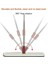 Spin Mop Tablet Mop Krem 5 L + Yedek Mop Bez 4 3