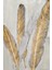 Gold In Fur Kanvas Tablo 2