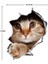 Kedi Model 6 Araba Oto Sticker Yapıştırma Renkli 1