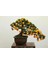 Murat Tohum Bodur Bonsai Kayısı Ağacı Tohumu Ekim Seti 2 Adet Tohum + Saksı + Toprak 2