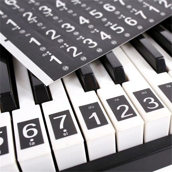Solo Piyano ve Org Nota Stıckerı