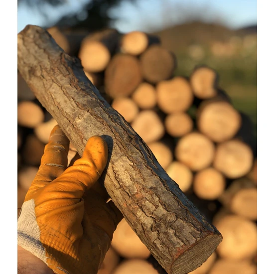 Odunal Lüx Şömine Odunu 2 Yıl Bekletilmiş Meşe Odunu