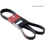 Gates 6PK1915 V Kayısı Kanallı Focus 98-11 1.4 1.6 16V