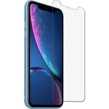 BlueCase Apple iPhone Xs Nano Şeffaf Ekran Koruyucu