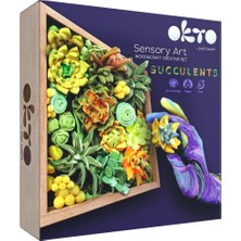 Okto Succulents Energy 3D Duyusal Sanat Seti