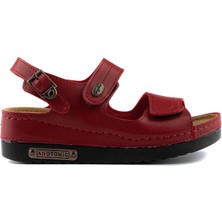 Roy Jones Kadın Ortopedik Anatomik Tabanlı Çift Bantlı Cırt Cırtlı Arkadan Tokalı Günlük Sandalet Terlik