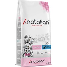 Anatolian Premium Kitten Chicken Tavuklu Yavru Kedi Maması 4 kg