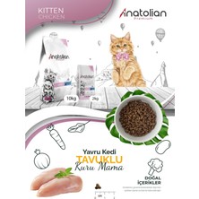 Anatolian Premium Kitten Chicken Tavuklu Yavru Kedi Maması 4 kg