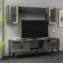Cantek Dizayn Linda Raflı Tv Ünitesi Takımı Antrasit-Altın