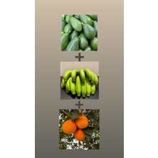 Kılınç Tropikal 1 kg Avokado + 1 kg Muz + 1 kg Portakal