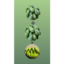 Kılınç Tropikal 2 kg Avokado + 1 kg Muz