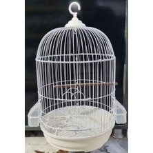EuroGold Silindir Boyalı Muhabbet Kuş Kafesi 40X30CM