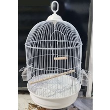 EuroGold Silindir Boyalı Muhabbet Kuş Kafesi 48X33 cm
