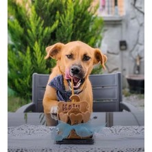 Patisserie Store Doğal ve Taze! Köpekler Için Doğum Günü Pastası/ Ödül Maması